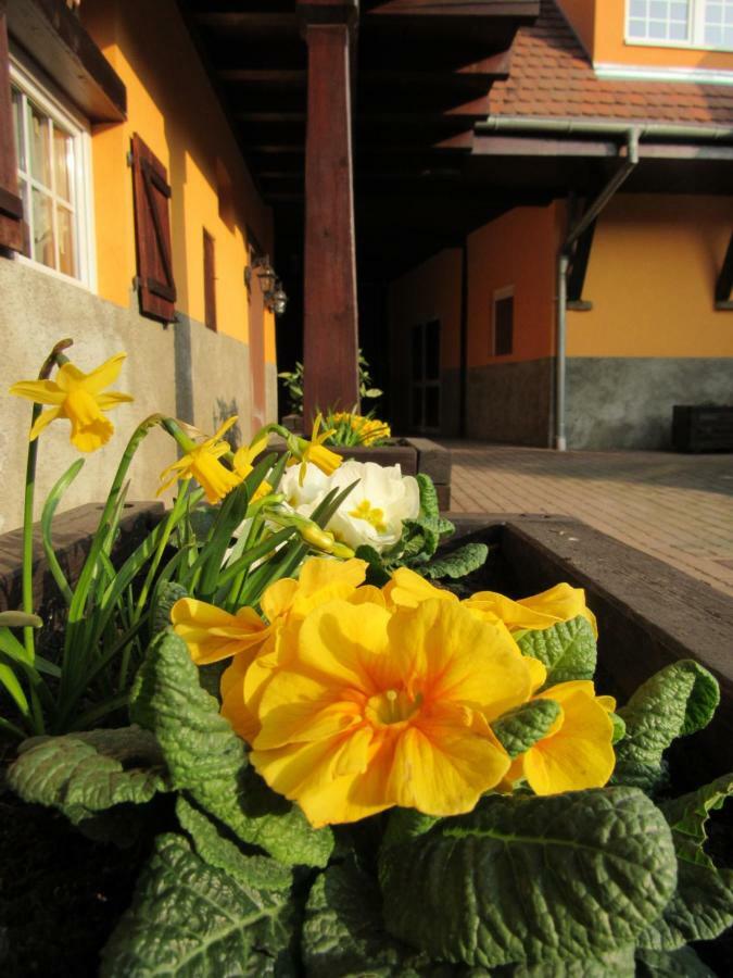 Maison D'Hotes La Ferme Pierre*** Donnenheim Zewnętrze zdjęcie