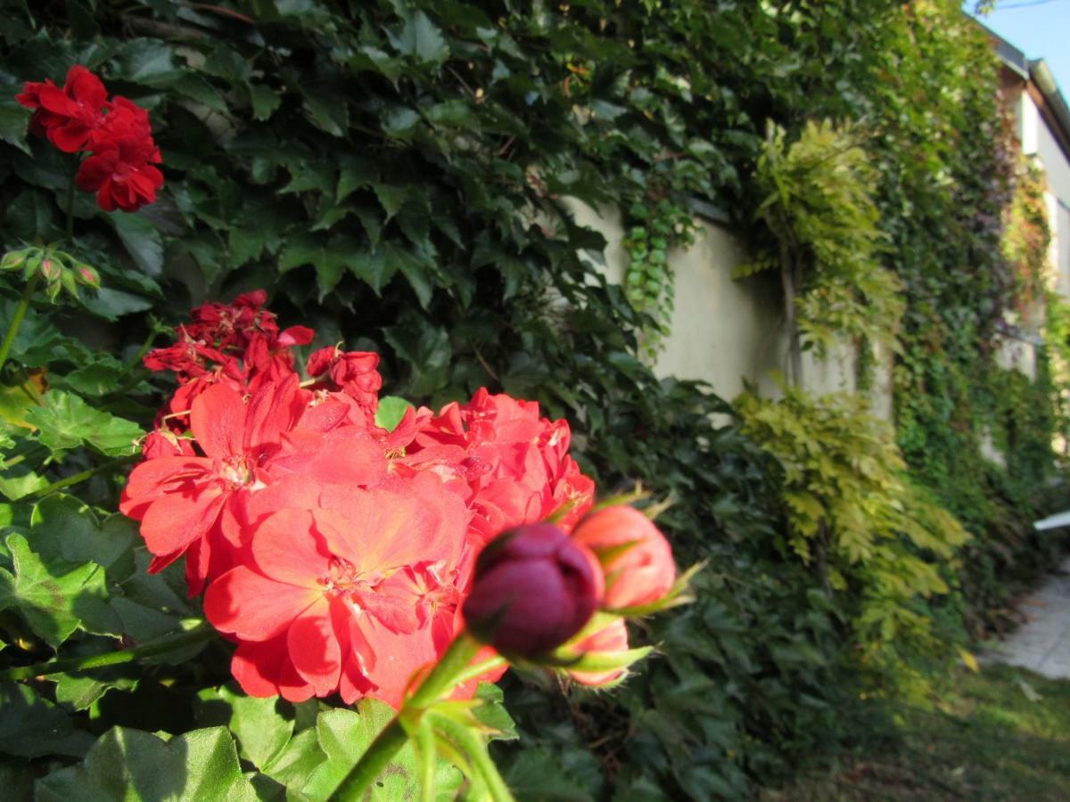 Maison D'Hotes La Ferme Pierre*** Donnenheim Zewnętrze zdjęcie
